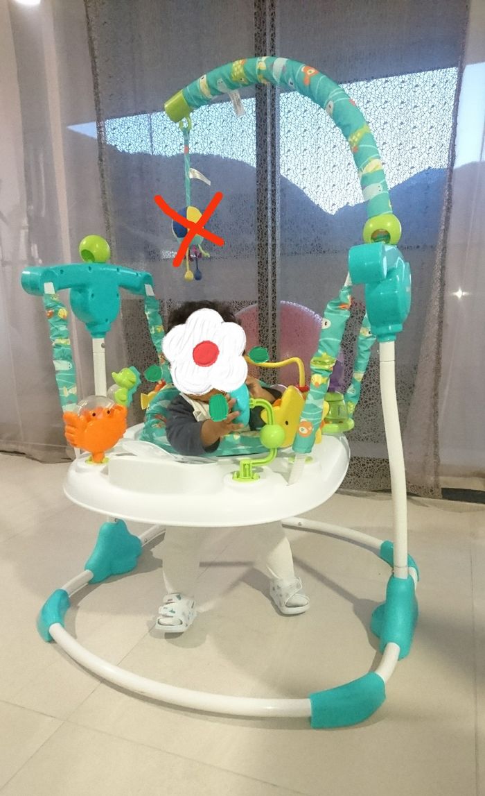 Sauteur multi activités Jumper Lagon - photo numéro 2