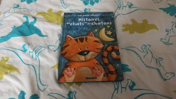Histoires de chats et de chatons