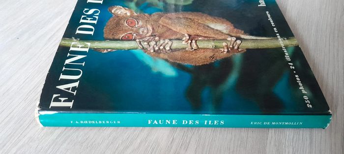 Faune des îles - photo numéro 12