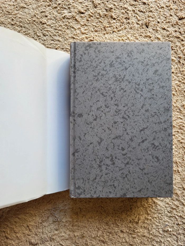 Roman Le temps des cerises de Franck & Vautrin - photo numéro 4