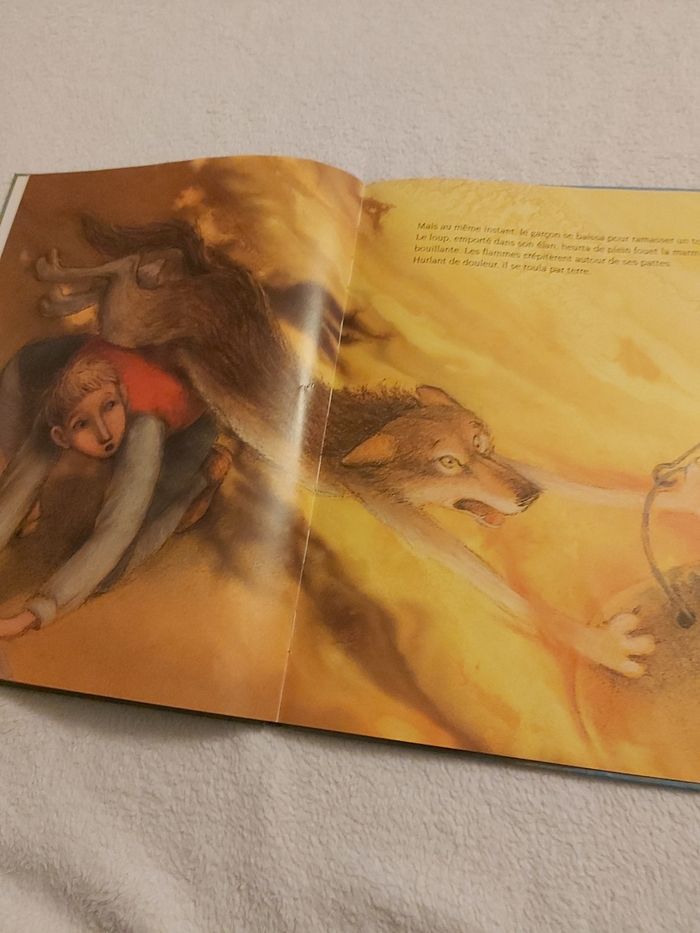 Roman enfant livre album illustré. Marc et le loup. Édition nord-sud - photo numéro 3
