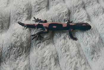 Figurine lézard