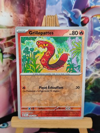 Grillepattes reverse 36/162 Forces Temporelles