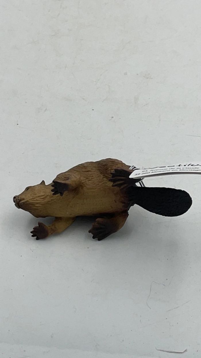 Figurine Beaver / Castor CollectA / Neotilus neuf - photo numéro 6