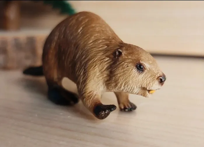 Schleich Castor figurine Animal de la Mer - photo numéro 2