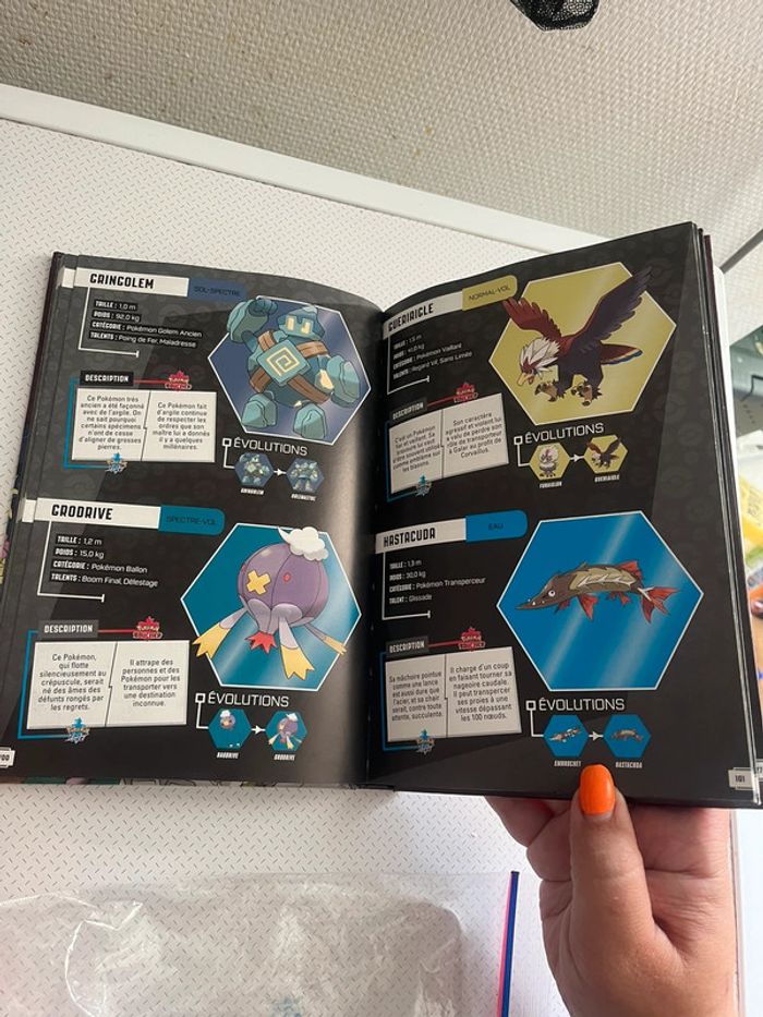 Pokedex de galar - photo numéro 3
