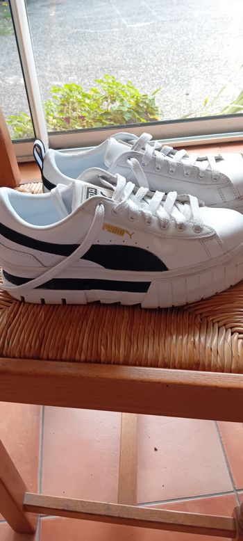 Basket puma