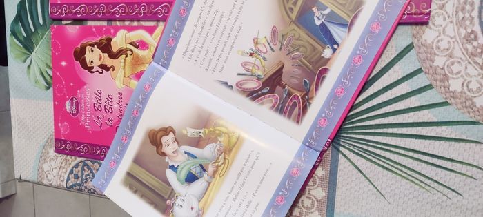 Livres la belle et la bête - photo numéro 4