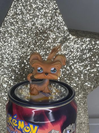 Littlest pet shop #06 chihuahua