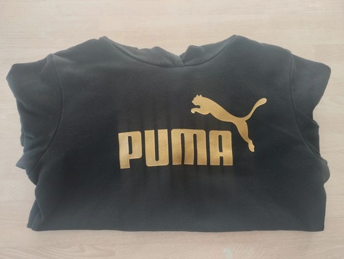 Sweat à capuche Puma - photo numéro 2