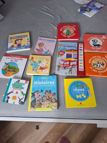 Lot de Livre enfants