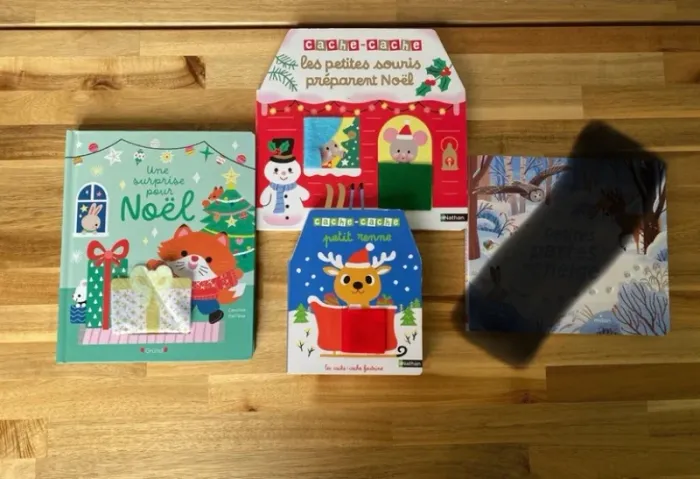 Lot 3 livres thème Noël