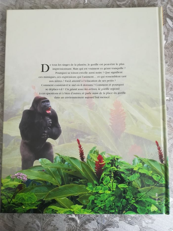 Un géant sous les arbres, le gorille - photo numéro 2