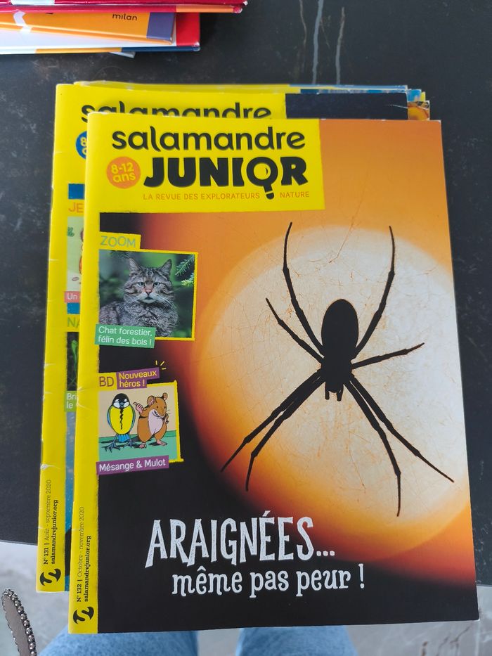 Salamandre junior - photo numéro 5