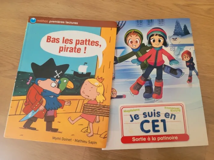 Lot 2 livres pour jeunes lecteurs