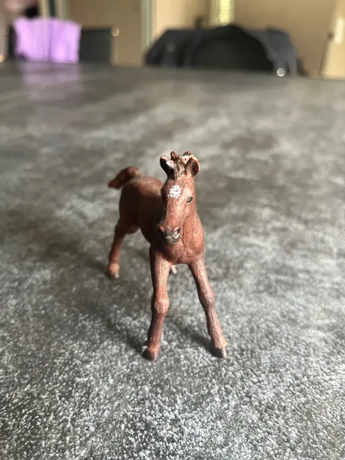 Poulain pur sang anglais schleich - photo numéro 2