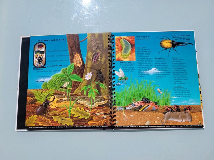 🦗 Mille Milliards d'insectes 🪳livre animé Gallimard Jeunesse (73) - photo numéro 14