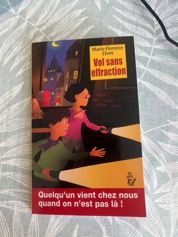 Livre neuf vol sans effraction