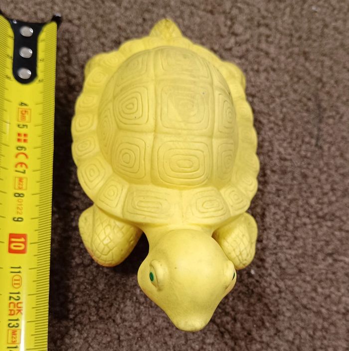 Tortue delacoste - photo numéro 3