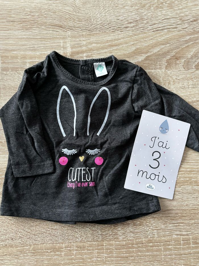 Tee shirt gris lapin TEX t.3m