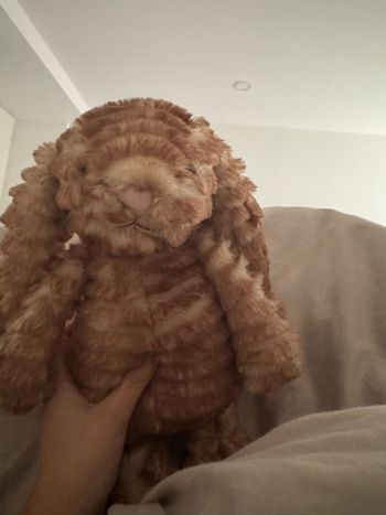 Peluche Jellycat