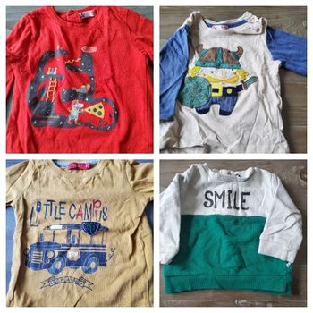 Lot 3 t-shirt et 1 sweat 9 mois