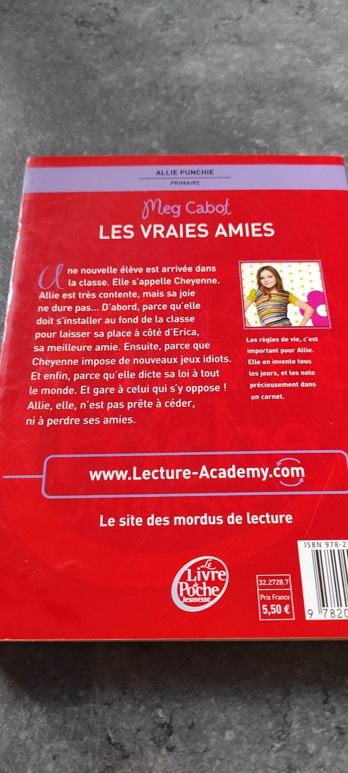 Junior - Allie Punchie - 3 - Les vraies amies de Meg Cabot - photo numéro 3