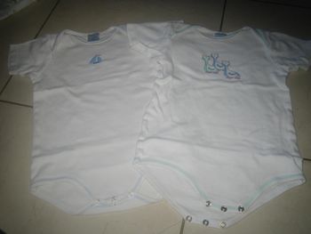 lot de 2 bodies 2 ans manches courtes