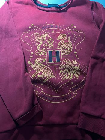 Sweat Harry Potter