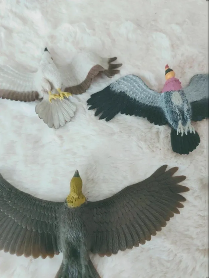 Animaux - photo numéro 3