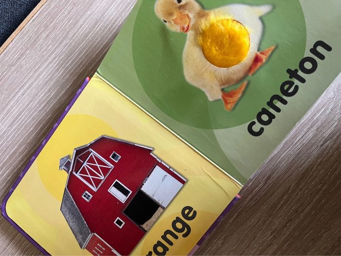 La ferme - photo numéro 2