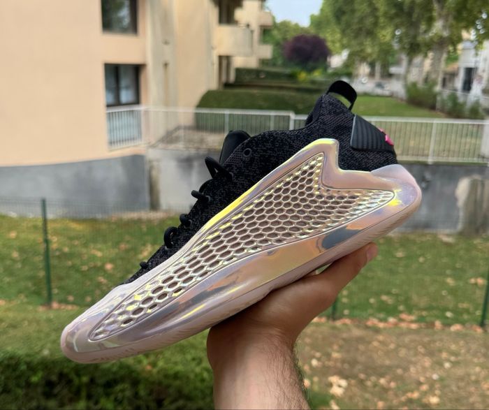 AE 1 - Year of the snake