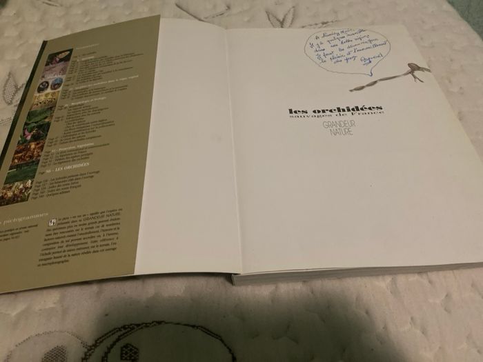 Les orchidées - photo numéro 2