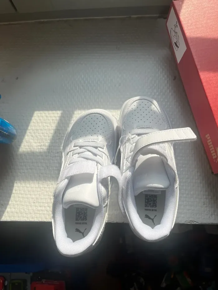 Puma à scratch - photo numéro 7