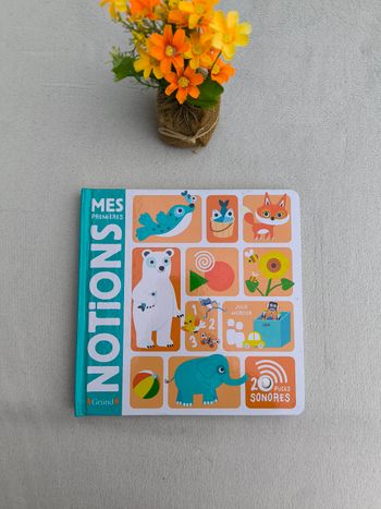 Livre sonore Mes premières notions Gründ