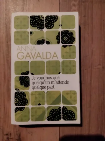 Anna Gavalda Je voudrais que quelqu'un m'attende quelque part