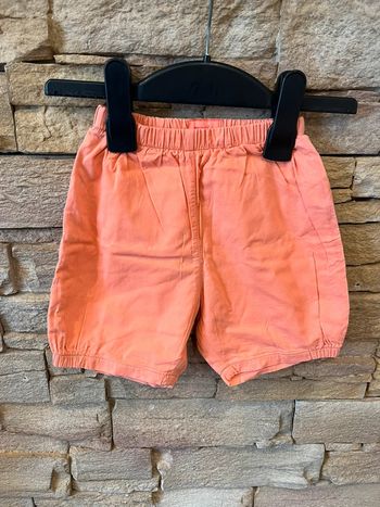 Short léger 12 mois