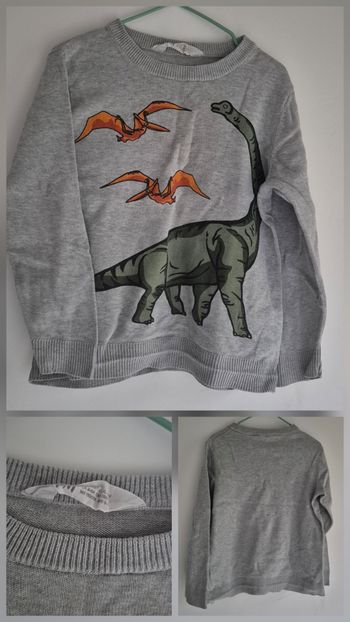 Pull dinosaure garçon 4 ans