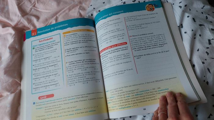 Fichier Tout en Un Ce1 - photo numéro 3