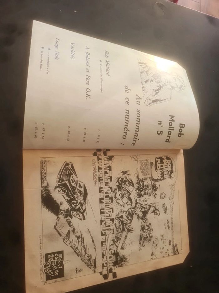 Bob Mallard le.pilote masqué - photo numéro 6