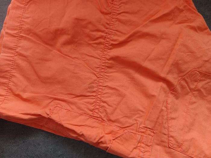 Bermuda sergent major - photo numéro 6