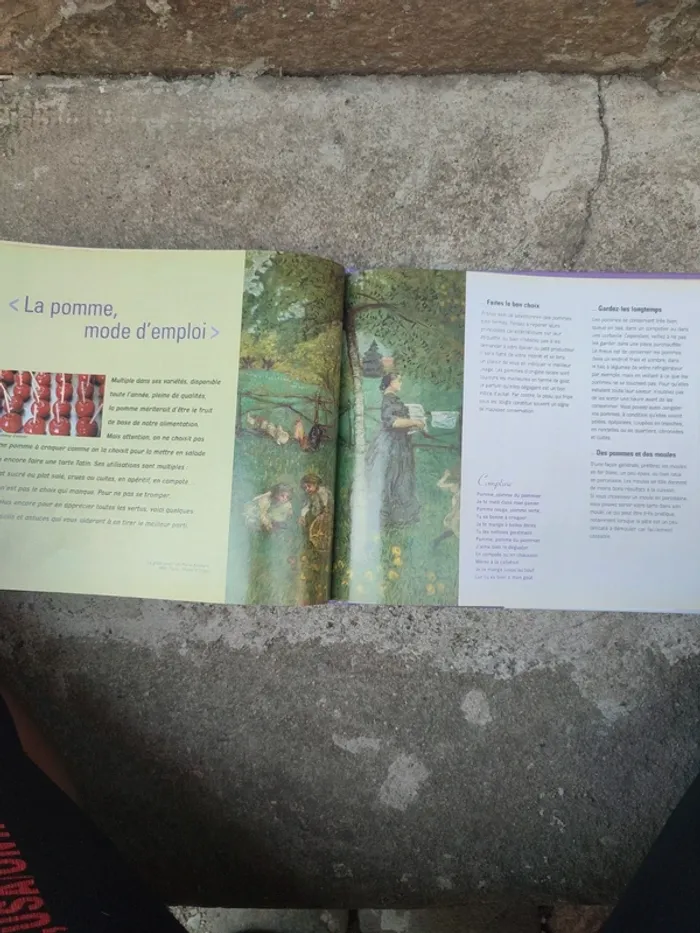 Livre et tout commence avec la pomme - photo numéro 13