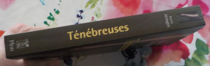 Ténébreuses de Karin Alvtegen Ed. Plon - photo numéro 3