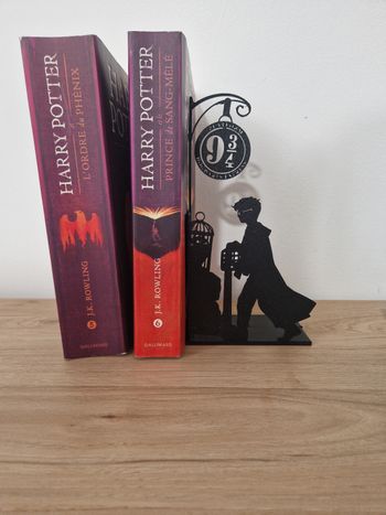 Serre livres Harry Potter 