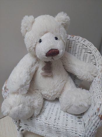Histoire d'ours - peluche ours traditionnel