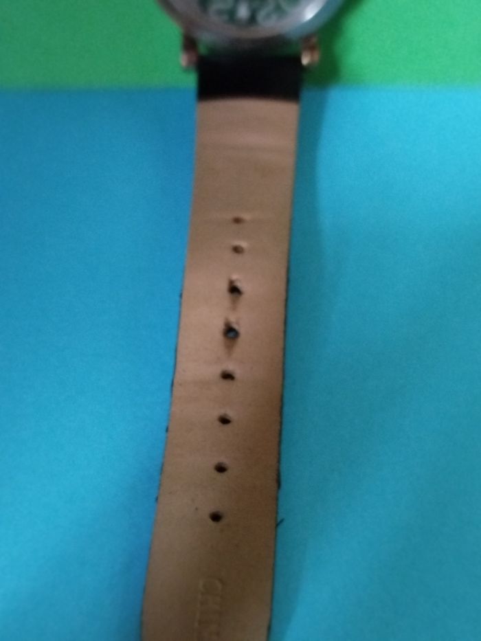 Montre Hogwarts school bronze crest - photo numéro 5