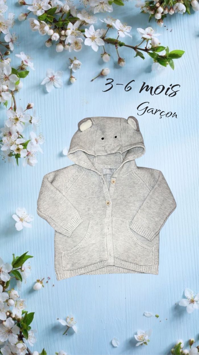 Veste grise