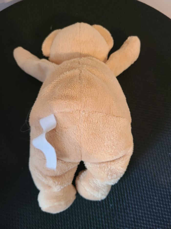 doudou ours - photo numéro 3