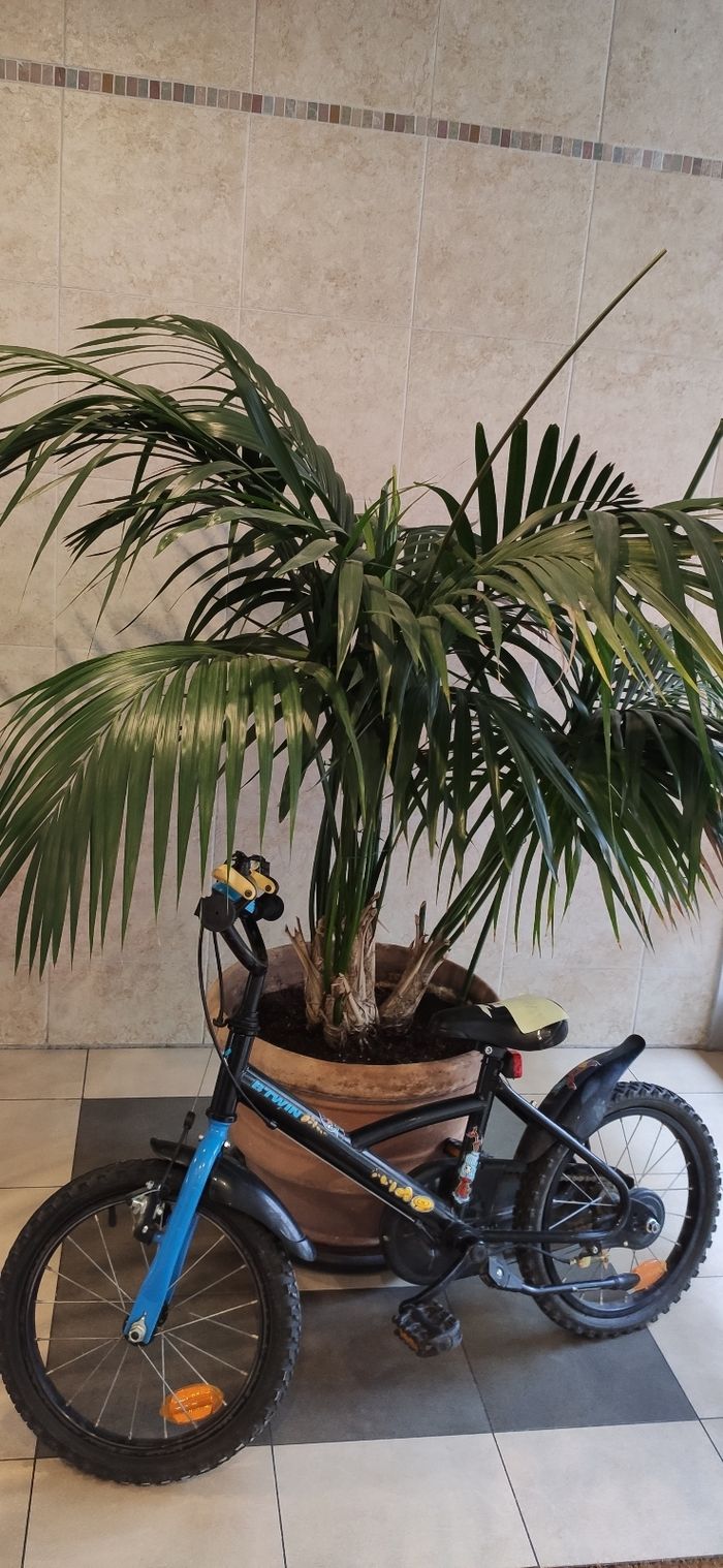 Vélo enfant 4/6 ans - photo numéro 3