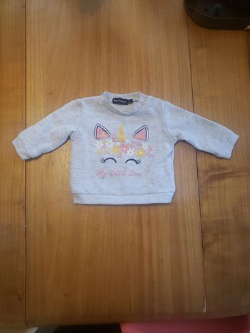 Pull chat licorne 3 mois